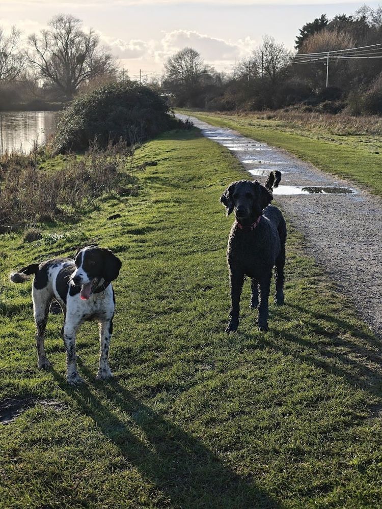 Jackson and Coco on the canal towpath at Cambridge in low winter sun