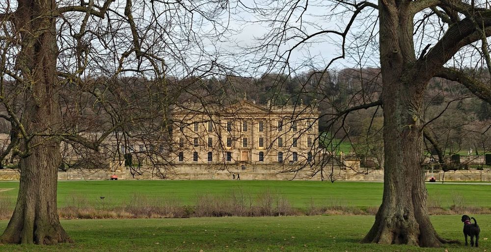 Chatsworth House with Bernie in the grounds
